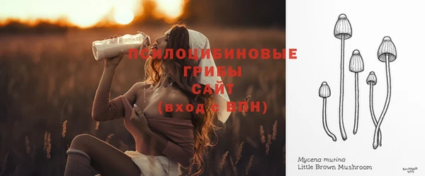 PSILOCYBIN Алексеевка