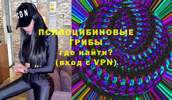твердый Алзамай