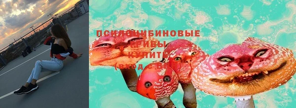 PSILOCYBIN Алексеевка