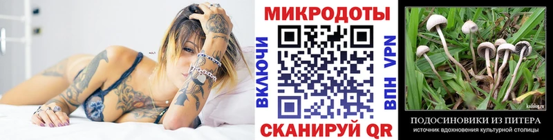 где купить наркоту  Абдулино  Галлюциногенные грибы Psilocybine cubensis 